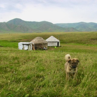 10 лучших мест для отдыха на природе рядом с Алматы
